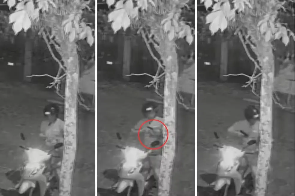 Guarda municipal é filmado executando cadela da família após acariciá-la; VÍDEO