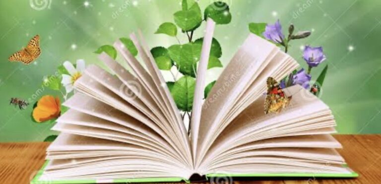 Despertando 2024: uma nova jornada de possibilidades