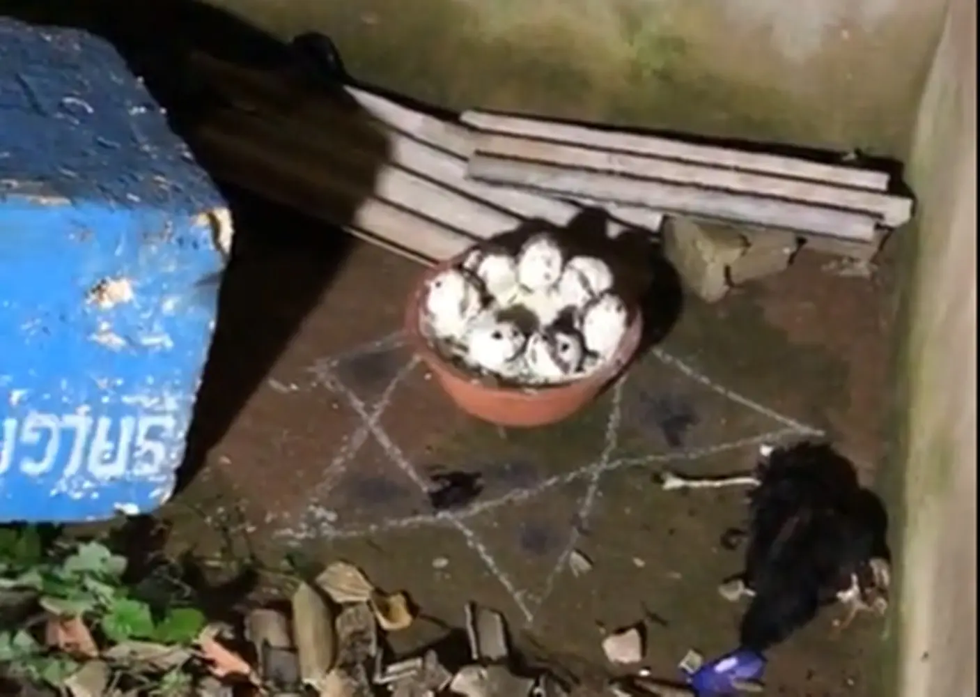 VÍDEO: crânio humano usado em ritual macabro é encontrado e polícia é acionada