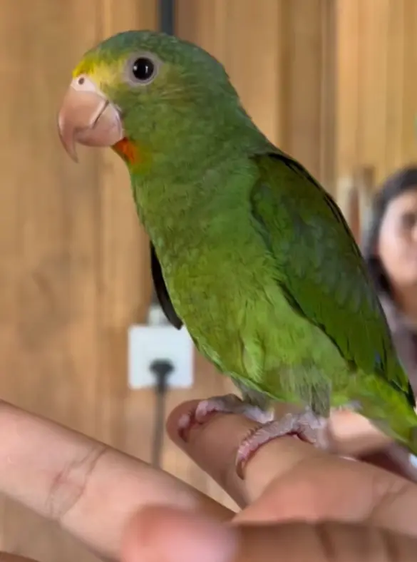 WhatsApp Image 2024-01-31 at 09.14.53