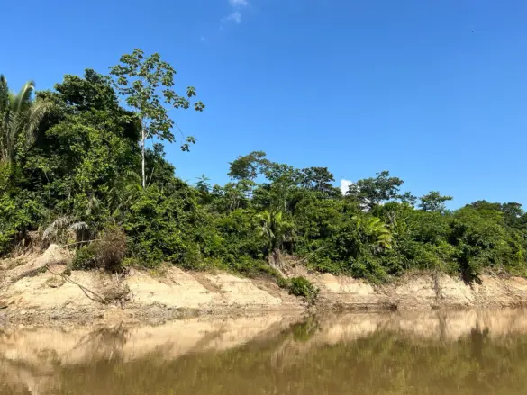 WhatsApp Image 2024-01-31 at 09.14.56