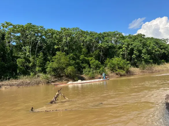 WhatsApp Image 2024-01-31 at 09.14.58 (2)