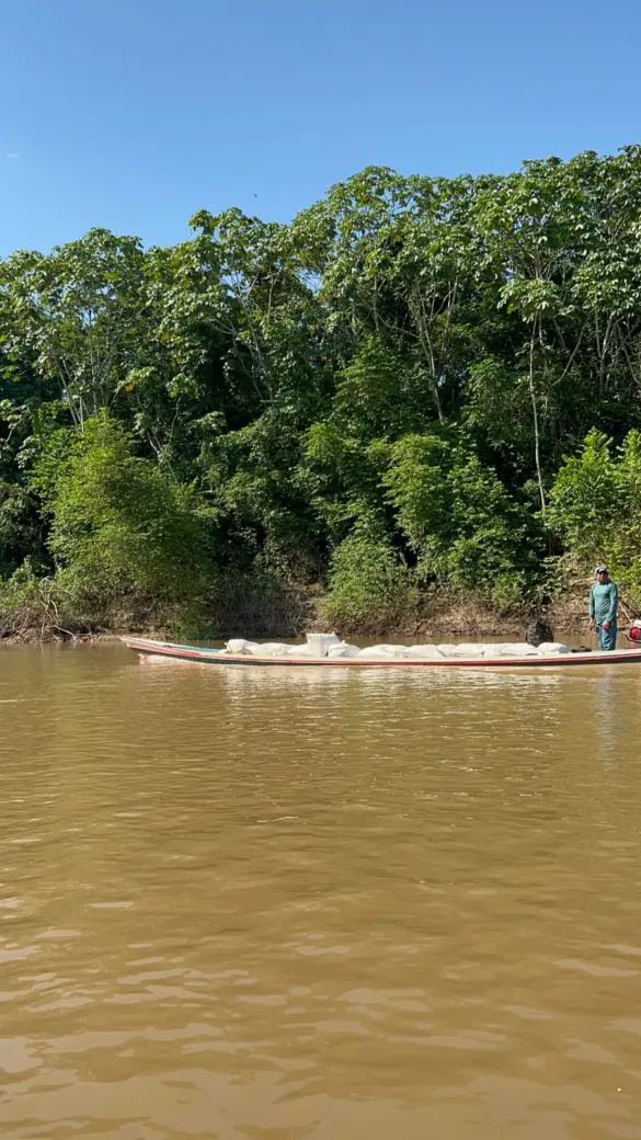 WhatsApp Image 2024-01-31 at 09.14.59