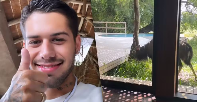 Zé Felipe mostra detalhes de hospedagem na África do Sul e toma susto com antílope no meio da casa