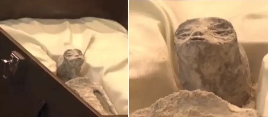 Três “ovos” são descobertos em “múmias alienígenas” encontradas no Peru