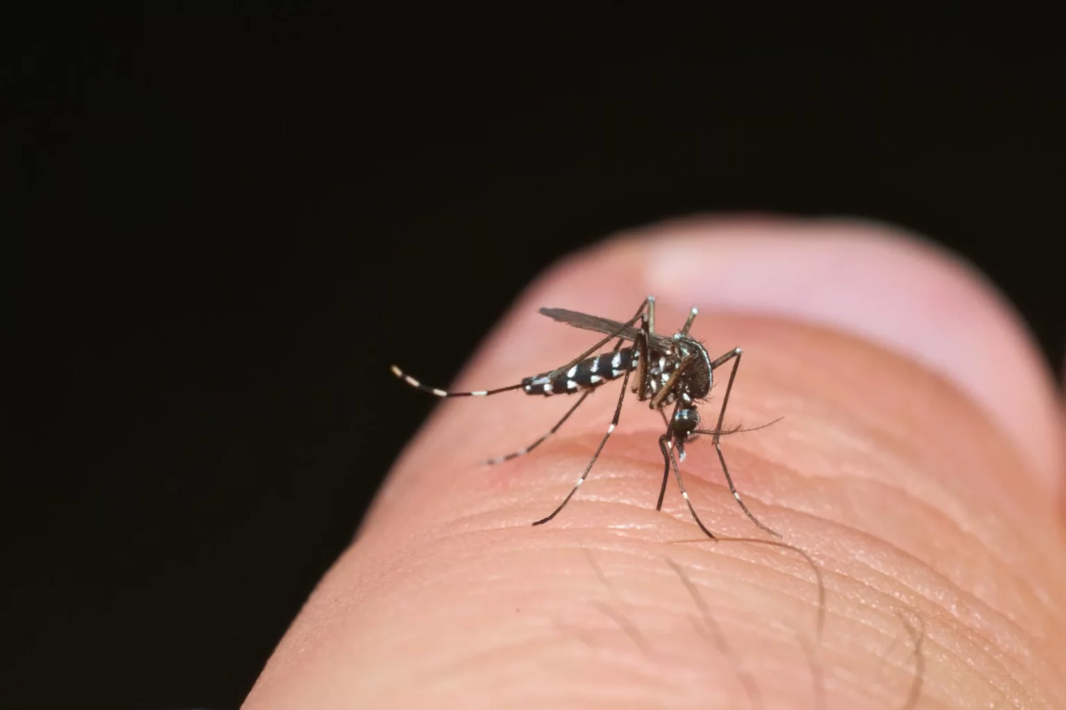 Acre e outros estados vão receber reforço de R$ 1,5 bi do Governo Lula para enfrentar a dengue