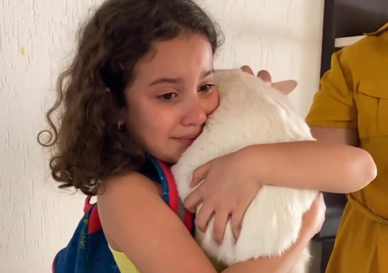 No Acre, menina de 9 anos chora após reencontrar gatinha perdida há 14 dias; assista