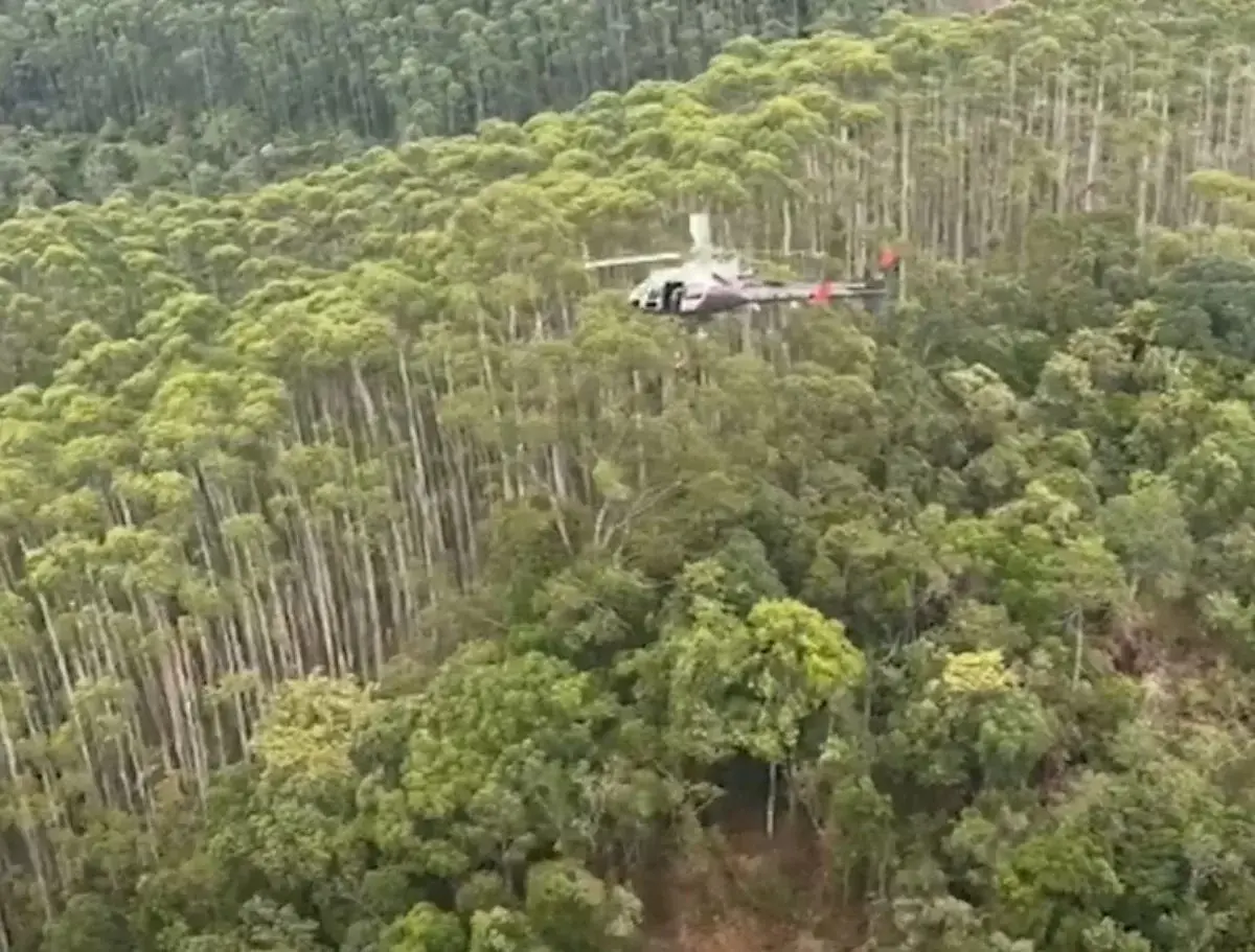 Polícia detalha o que encontrou no local da queda de helicóptero em SP