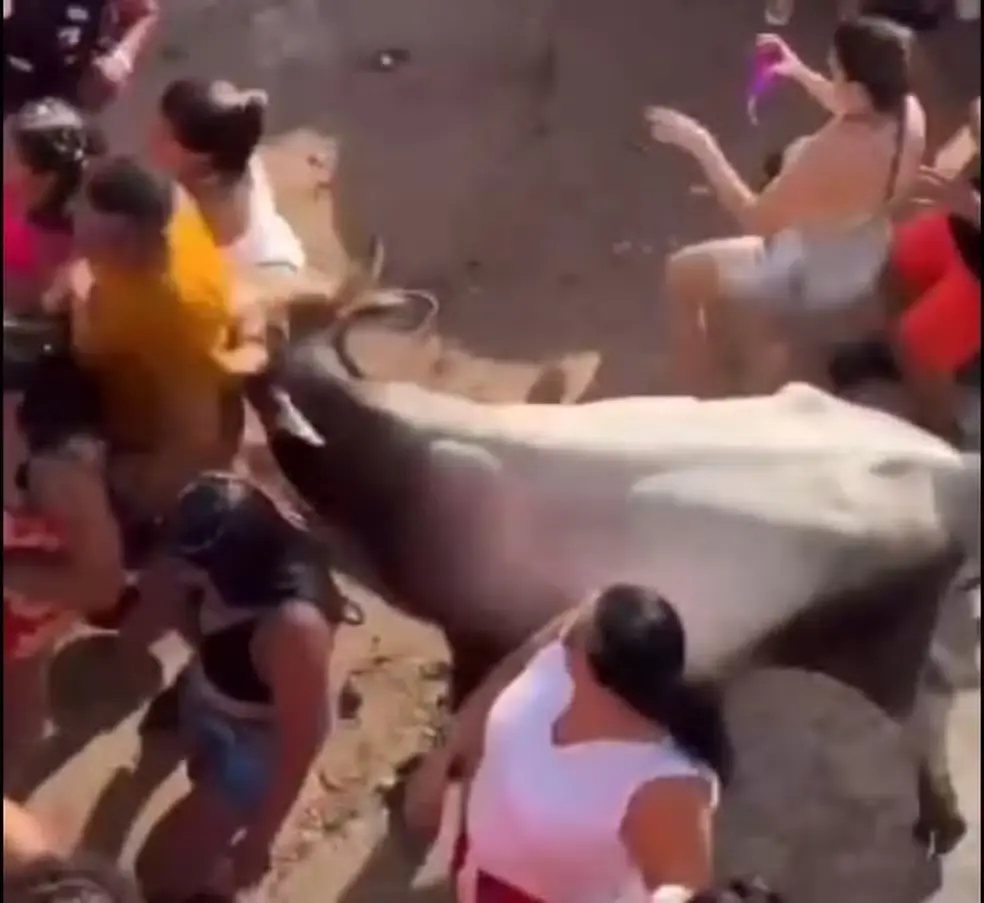 VÍDEO: Vaca invade festa de carnaval e deixa pessoas feridas