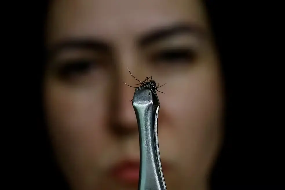 Peru vai decretar estado de emergência por causa da dengue