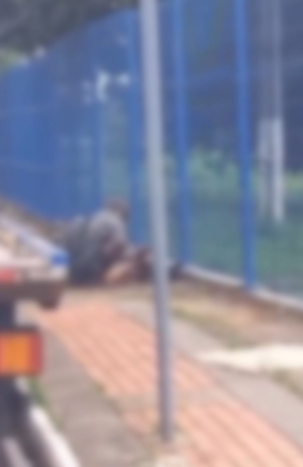 VÍDEO: homem é algemado após cortar cachorro morto para comê-lo no meio da rua