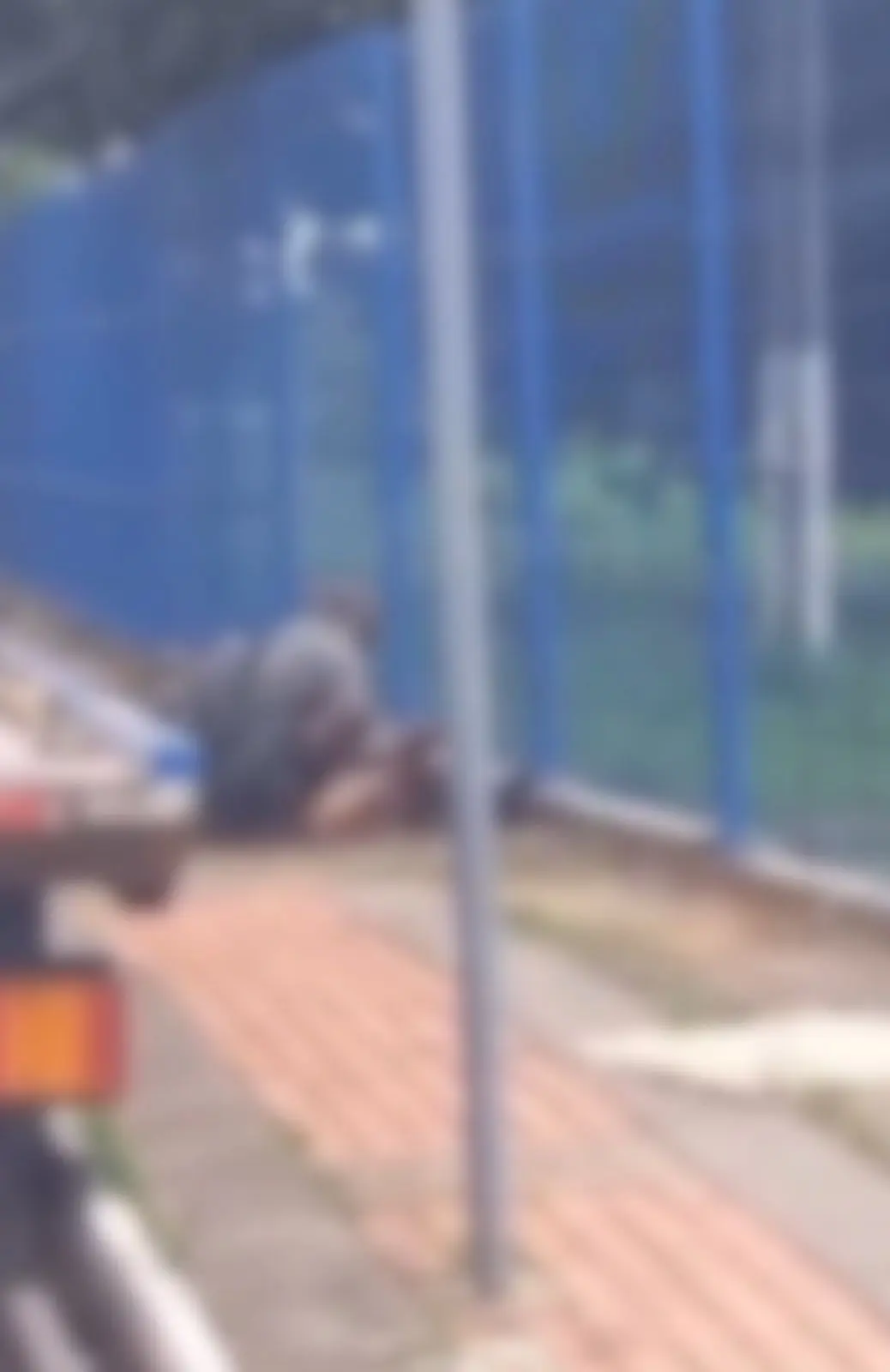 VÍDEO: homem é algemado após cortar cachorro morto para comê-lo no meio da rua