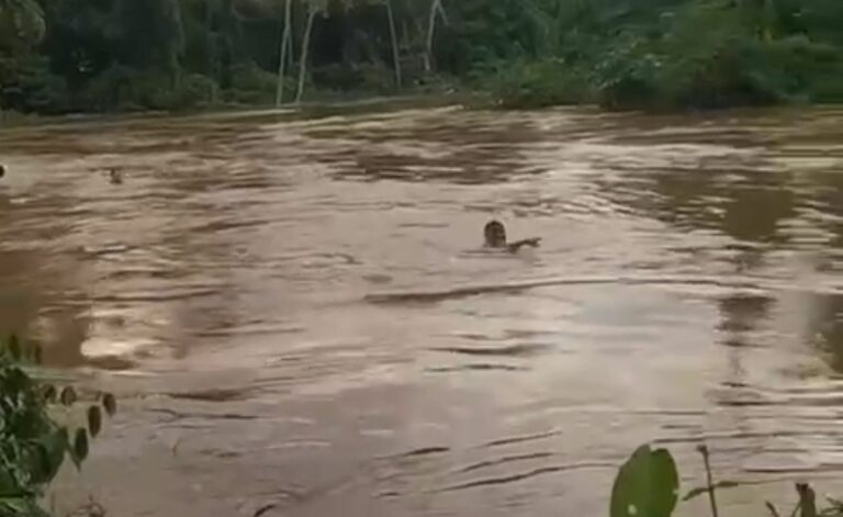 Jovem desaparece após ser levado por correnteza no Igarapé do São Francisco; veja o vídeo