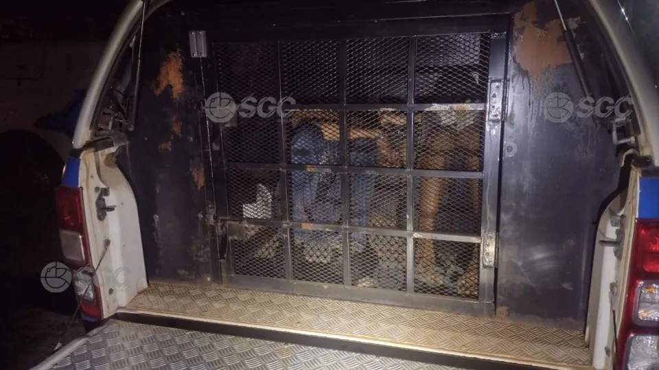 Grupo composto por adolescentes é detido por furto de toneladas de soja
