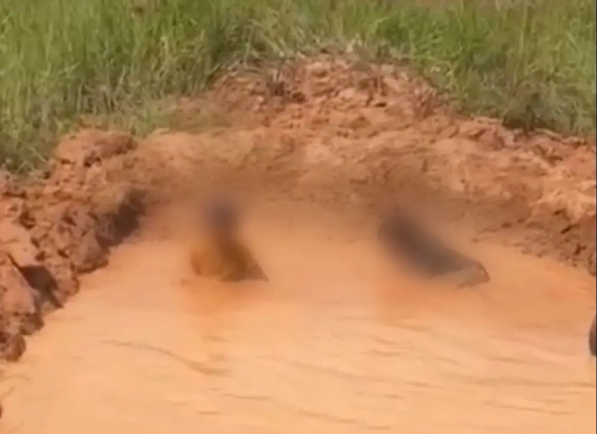 Crianças pulando em piscina de lama chama atenção de casal em Rio Branco