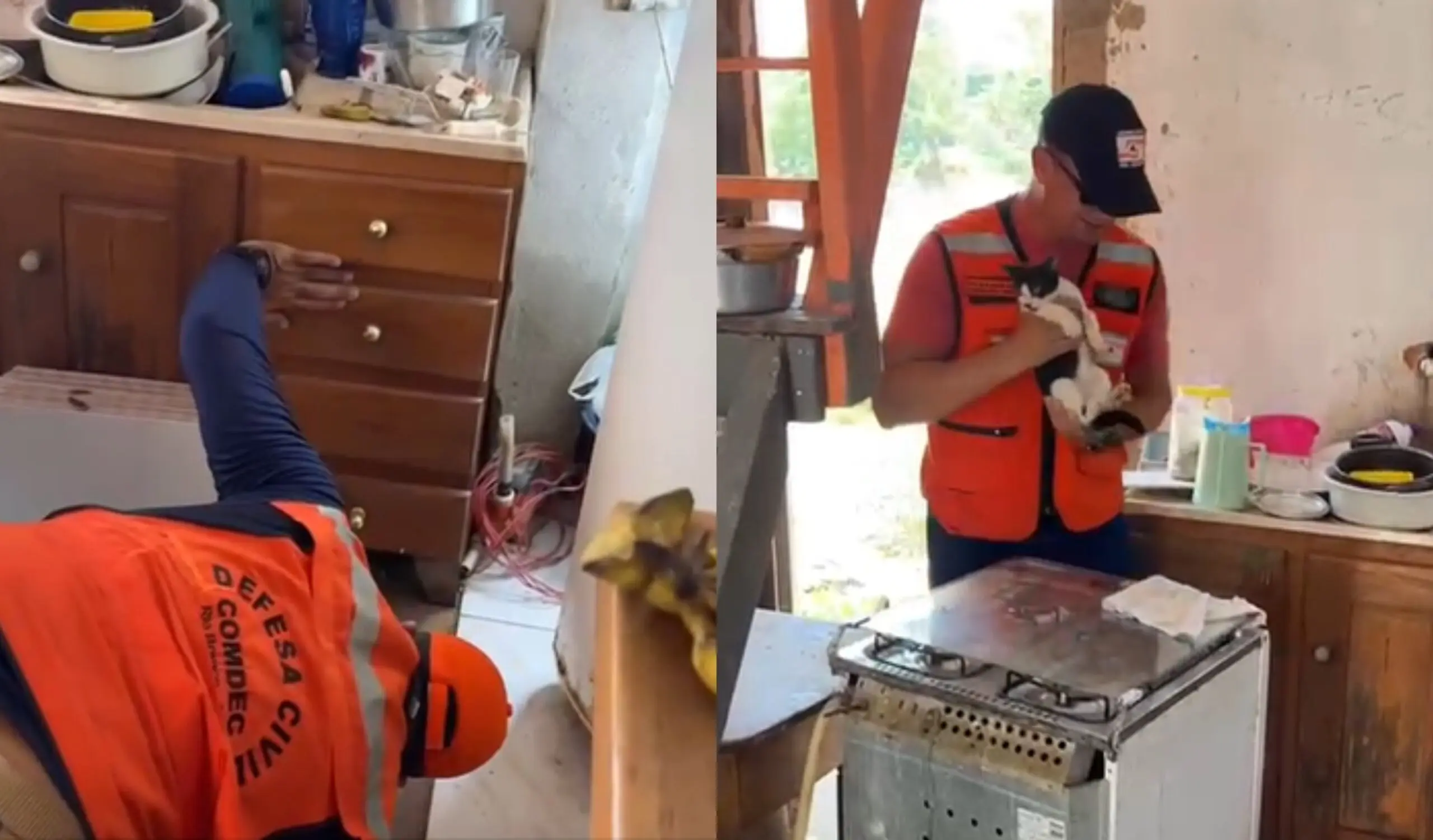 Gatinho de idosa que teve casa atingida por erosão é resgatado pela Defesa Civil; VÍDEO