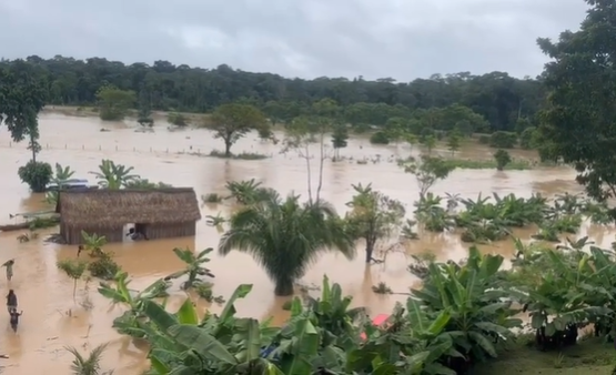 Rio Gregório transborda e atinge terra indígena Yawanawa no interior do Acre; VÍDEO