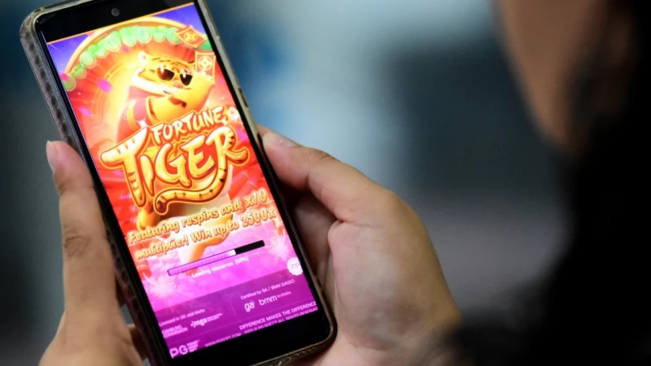 Influenciadoras chegaram a receber mais de meio milhão por divulgar jogos de azar no Acre, diz polícia