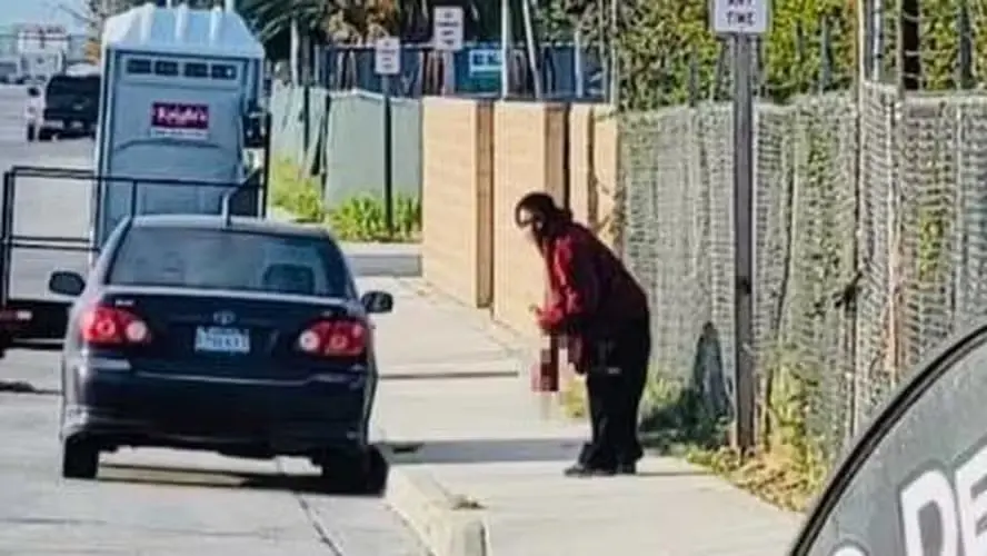 Vídeo: homem é preso após roubar perna amputada de vítima de atropelamento por trem e comê-la