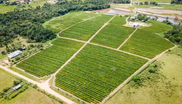 19283574-f788-48ac-9488-e1febda1765a