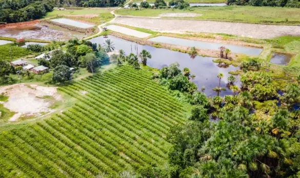 419b476d-47d1-4acf-8ebc-0235c208d73f