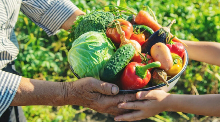 Prefeitura divulga lista de agricultores selecionados para compra de alimentos; confira