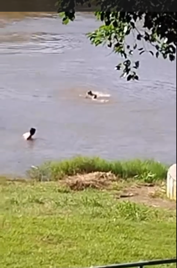 Vídeo mostra jovem sendo salvo de afogamento no interior de Rondônia; ASSISTA