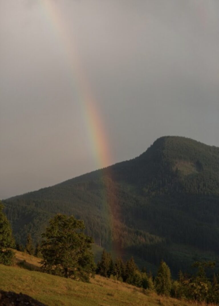 As cores da vida: escolhas, emoções e viver plenamente; confira o artigo de Maysa Bezerra