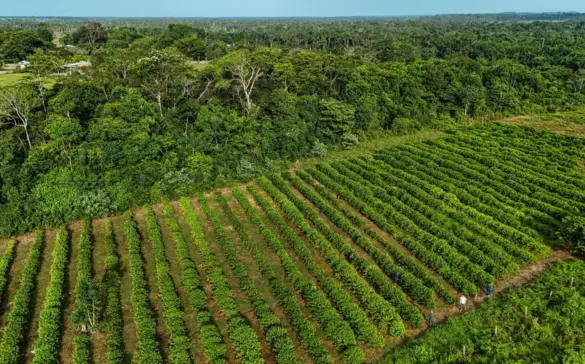 acb19bca-d4c3-442a-8377-445a2f553aca