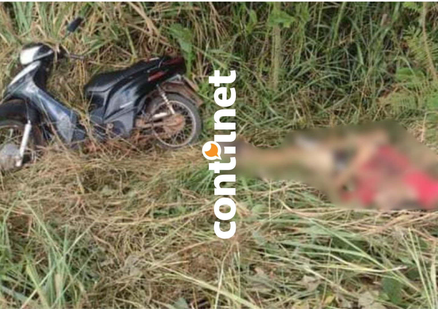 Corpos de jovens executados com tiros na cabeça são encontrados no interior do Acre