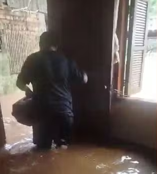 VÍDEO: homem enfrenta ondas no Guaíba para resgatar 9 gatos e cão