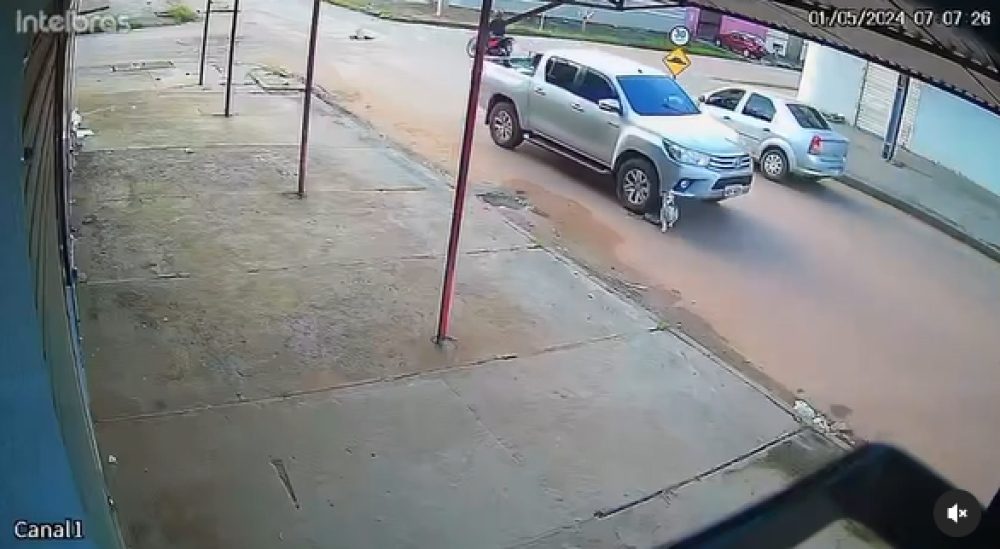 Vídeo mostra momento em que caminhonete passa por cima de cachorro; confira