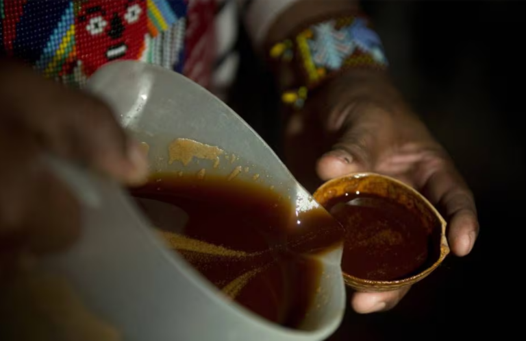 MPF investiga atuação policial em casos de ayahuasca em respeito às práticas religiosas