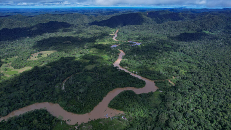 Empresários irão à floresta: empresa brasileira vai levar executivos para imersão no Acre