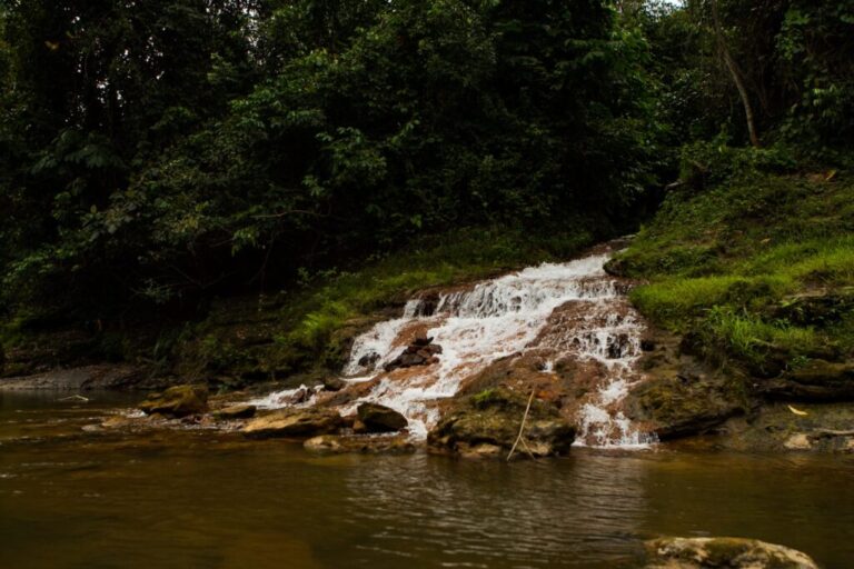 Governo promove workshop com fotógrafo André Dib sobre Jornalismo Ambiental