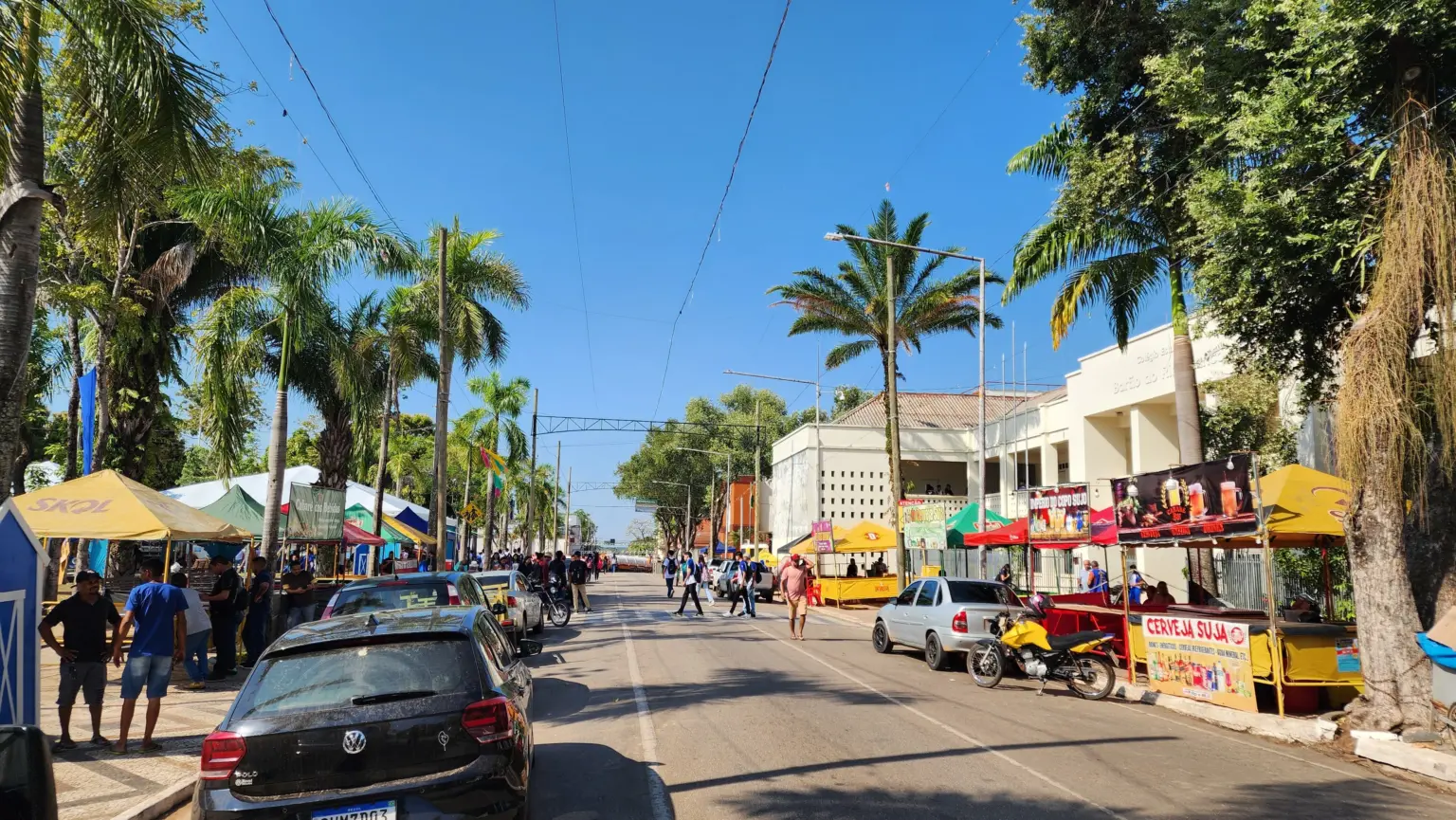 Conselho de Meio Ambiente autoriza Prefeitura a cuidar da arborização da cidade