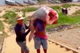 Pescadores Capturam Peixe Gigante Em Boca Do Acre E Vídeo Viraliza Nas 