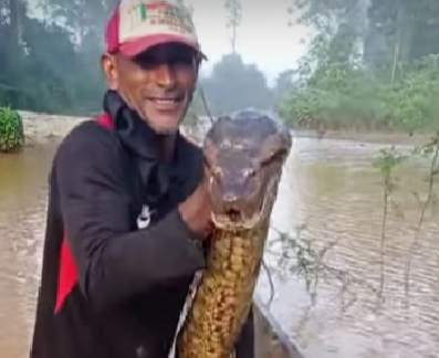 Pescador encontra cobra gigante morta na malhadeira durante rotina de pesca; veja vídeo