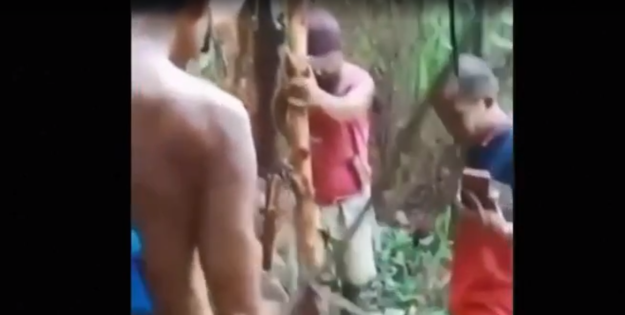 Corpo de mulher é encontrado dentro de cobra de 9 metros