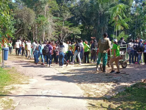 WhatsApp Image 2024-07-11 at 14.20.49