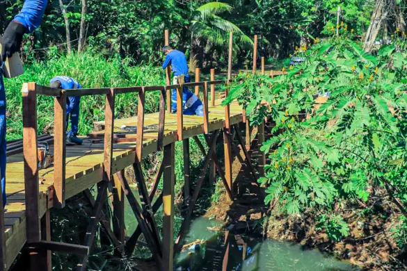 WhatsApp Image 2024-07-18 at 15.48.03