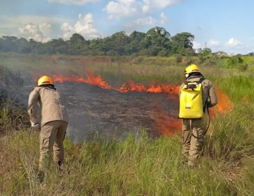 Acre registra mais de 140 focos de incêndio em 7 dias; Terras Indígenas são atingidas