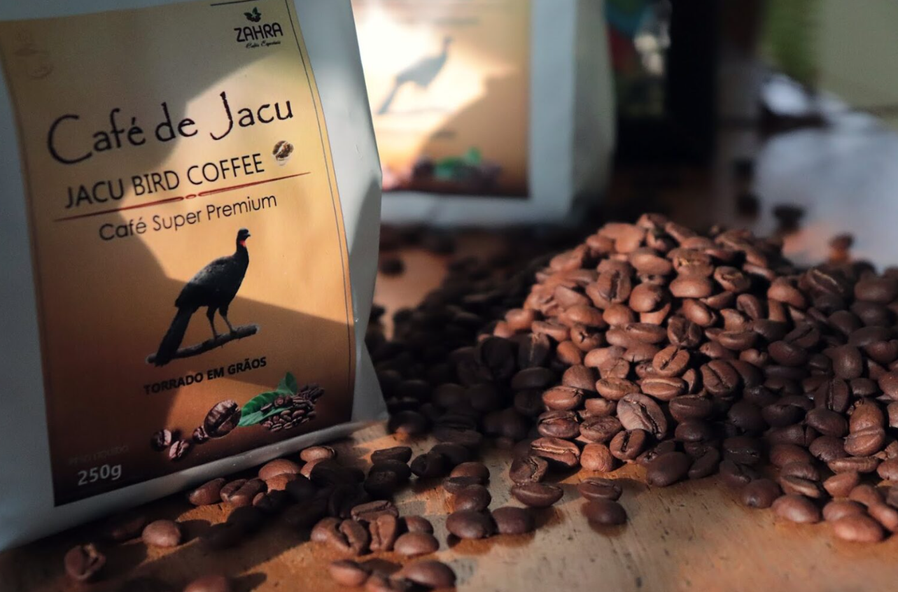 Café brasileiro custa R$ 1.800 e é feito a partir das fezes de um pássaro