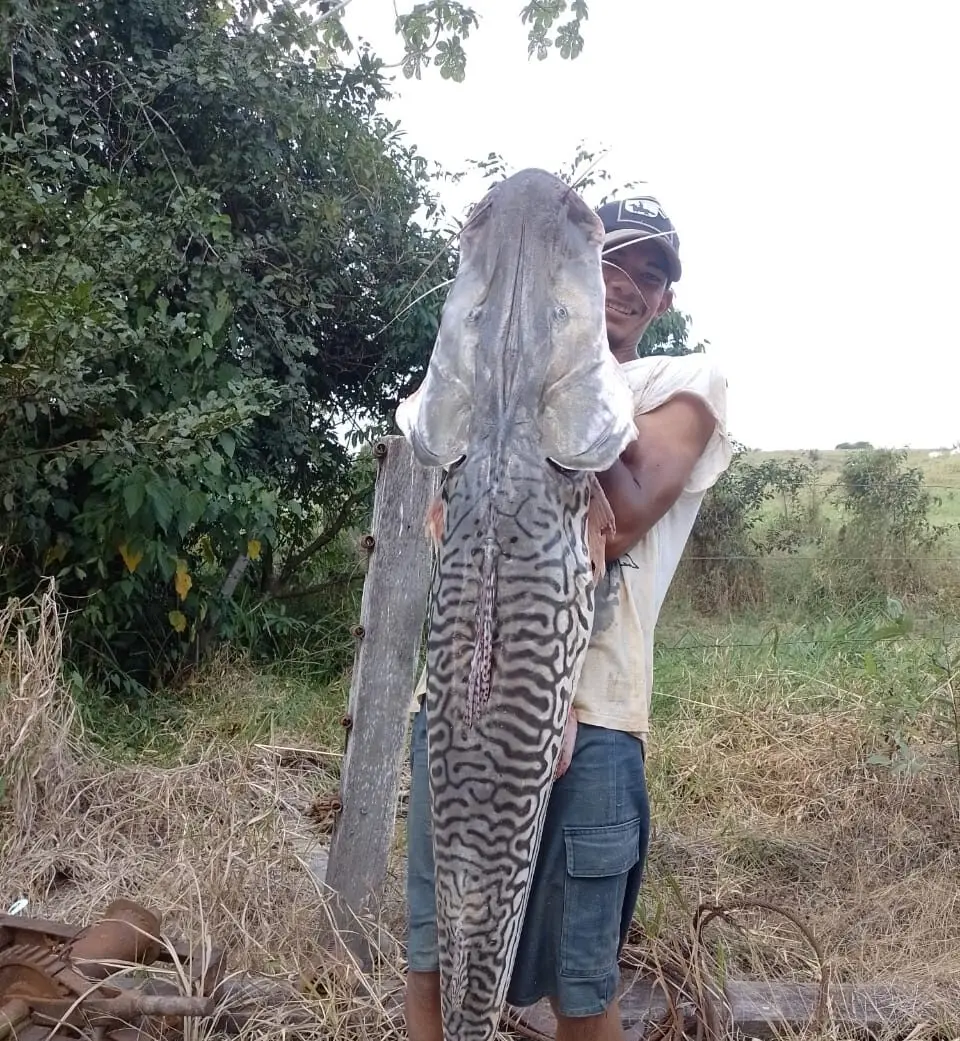 Durante pescaria em família, peixe gigante de 23kg é fisgado no Acre; VEJA FOTOS