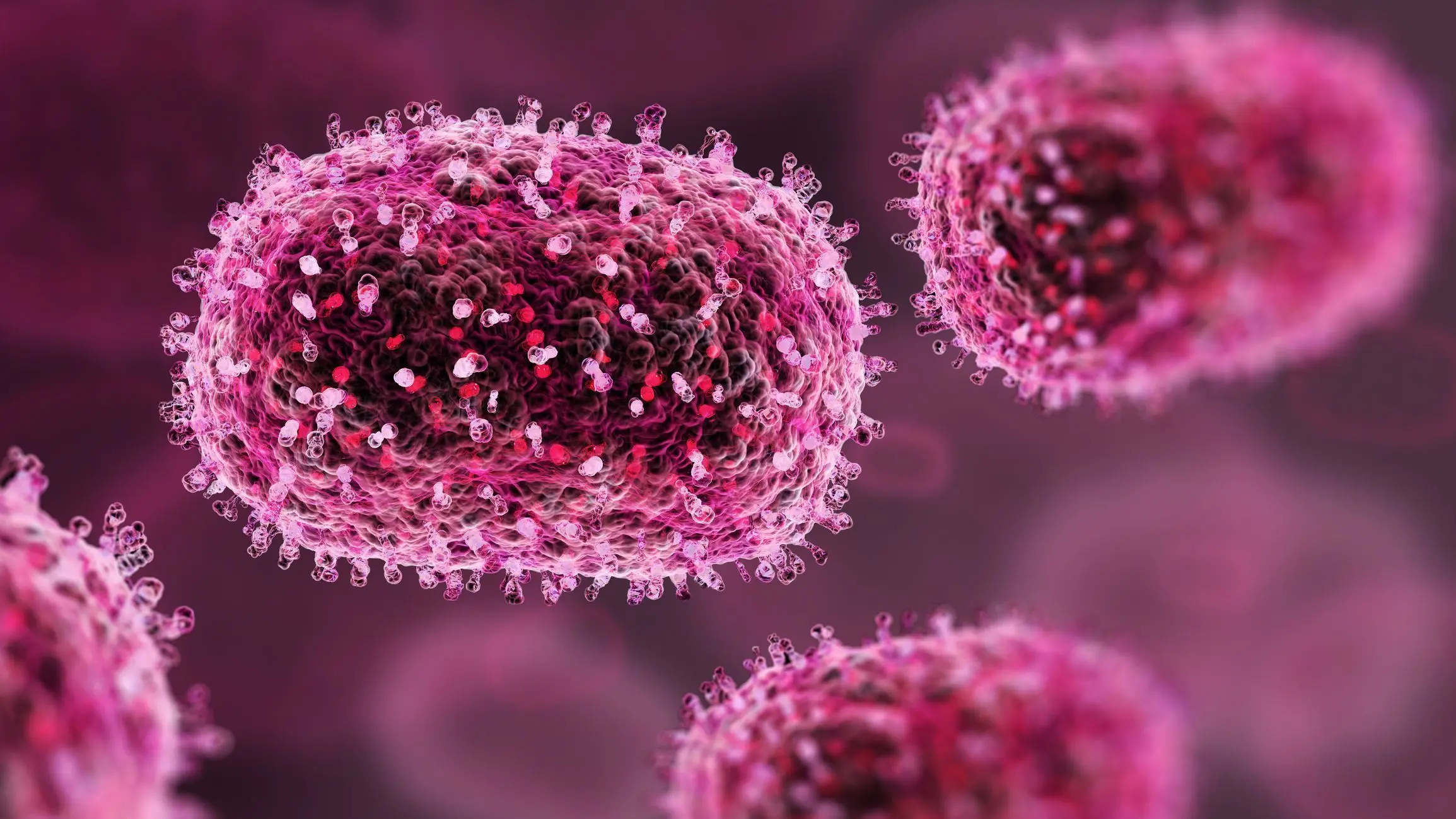 Mpox, dengue, zika e mais: veja doenças que podem causar pandemias, segundo OMS