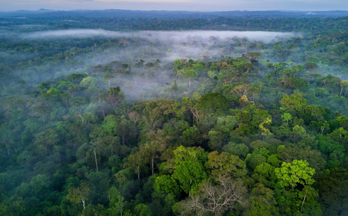 fundo-amazonia-recebe-mais-r$-270-milhoes-dos-estados-unidos