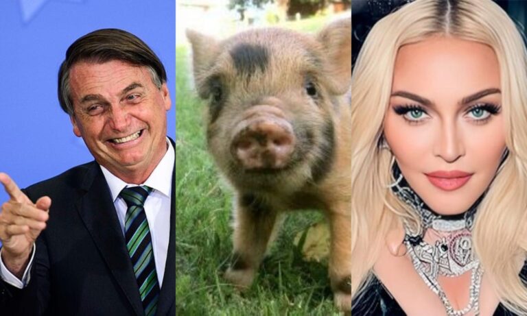 Bolsonaro, Madonna e Ronco do Porco: veja os candidatos acreanos com nomes engraçados