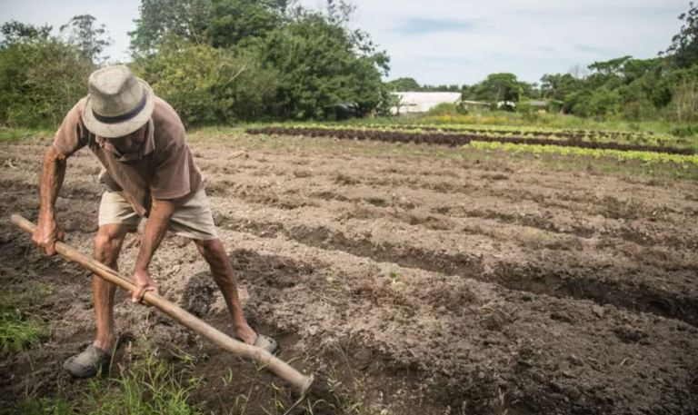 Projeto de lei propõe seguro-desemprego para agricultores afetados por desastres naturais