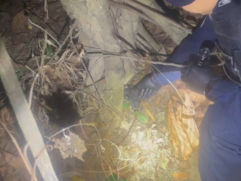 Temendo guerra de facções, PM faz patrulha e encontra armas escondidas em buraco