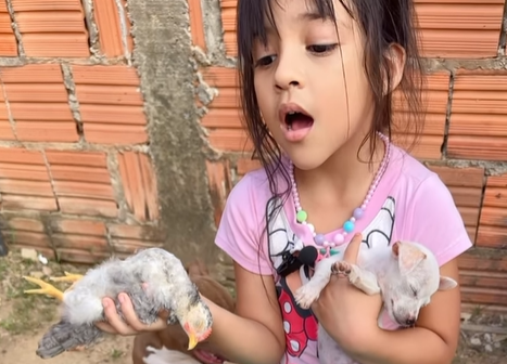 Fofura! Encantadora de pets faz até ave dormir e novo vídeo viraliza na internet; assista